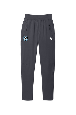 Skyline FC Circuit Jogger - Training