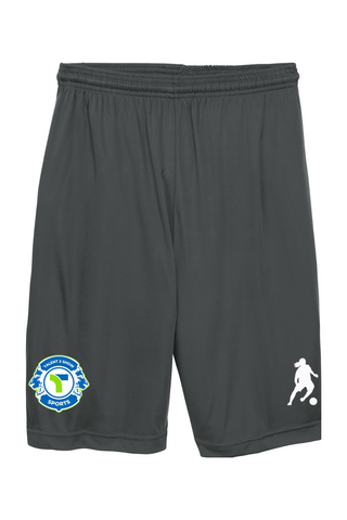 T2S Training Short