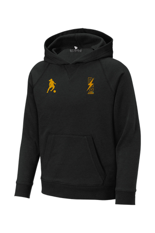 DC Flash Youth Drive Fleece Pullover Hoodie