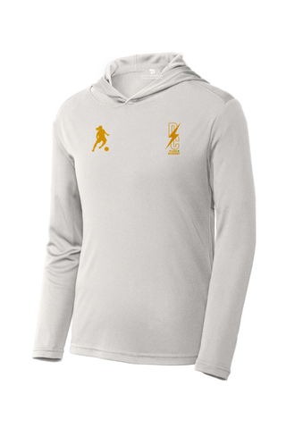 DC Flash Youth PosiCharge Competitor Hooded Pullover