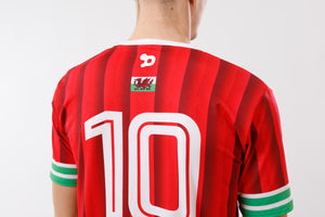Ronaldinho Wales Jersey/Camisa Wholesale