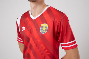 Ronaldinho Denmark Jersey/Camisa Replica